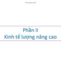 Bài giảng Kinh tế lượng: Phần 2 - TS Nguyễn Duy Thục