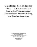 Guidance for Industry PAT — A Framework for Innovative Pharmaceutical Development, Manufacturing, and Quality Assurance