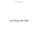 Bài giảng Phân tích thiết kế giải thuật - Chương 9: Cây khung nhỏ nhất