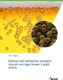 Maltose and maltotriose transport into ale and lager brewer´s yeast strains