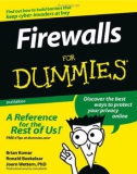 Firewalls For Dummies 2nd Edition phần 1