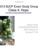 2013 BJCP Exam Study Group Class 4: Hops