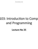 Lecture Introduction to computer and programming - Lecture No 25