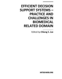 EFFICIENT DECISION SUPPORT SYSTEMS – PRACTICE AND CHALLENGES IN BIOMEDICAL RELATED DOMAIN