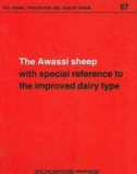 The Awassi sheep with special reference to the improved dairy type