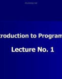 Lecture Introduction to Programming: Lesson 1