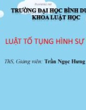 Bài giảng Luật tố tụng hình sự: Chương 1 - ThS. Trần Ngọc Hưng