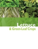 Lettuce & Green-Leaf Crops