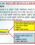 Bài giảng Luật Hình sự Việt Nam: Chương VIII - ThS. Trần Đức Thìn