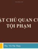 Bài giảng Luật Hình sự: Bài 8 - ThS. Vũ Thị Thúy