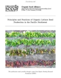 PRINCIPLES AND PRACTICES OF ORGANIC LETTUCE SEED PRODUCTION IN THE PACIFIC NORTHWEST