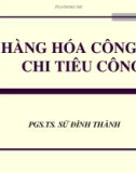 Bài giảng tài chính công: Hàng hóa công Chi tiêu công - PGS.TS. Sử Đình Thành