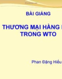 Bài giảng Luật Thương mại quốc tế: Thương mại hàng hóa trong WTO - Phan Đặng Hiếu Thuận