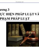 Bài giảng Luật học đại cương: Chương 3 - ThS. Trần Vân Long