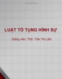 Bài giảng Luật tố tụng Hình sự: Bài 4 - ThS. Trần Thị Liên