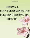 Bài giảng Pháp luật về thương mại điện tử: Chương 4 - ThS. Trương Kim Phụng