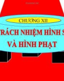 Bài giảng Luật Hình sự Việt Nam: Chương XII - ThS. Trần Đức Thìn