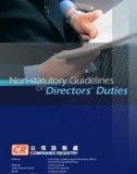 Non-statutory Guidelines onDirectors' Duties