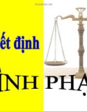 Bài giảng Luật Hình sự Việt Nam: Chương 14 - ThS. Trần Đức Thìn