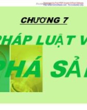 Chương 7: Pháp luật về phá sản