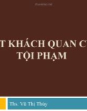 Bài giảng Luật Hình sự: Bài 6 - ThS. Vũ Thị Thúy