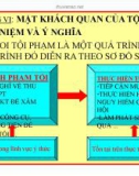 Bài giảng Luật Hình sự Việt Nam: Chương VI - ThS. Trần Đức Thìn