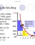 Quá trình hình thành giáo trình và phương pháp đánh giá sản phẩm qua lý thuyết người tiêu dùng p5