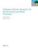 VMW Performance vCloud Director 1.0