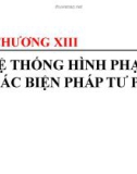 Bài giảng Chương 13: Hệ thống hình phạt và các biện pháp tư pháp