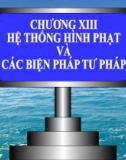 Bài giảng Hệ thống hình phạt và các biện pháp tư pháp