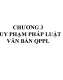 Chương 3: Quy phạm pháp luật và văn bản quy phạm pháp luật