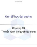 Kinh tế học đại cương: Chương 03. Thuyết hành vi người tiêu dùng