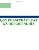 SLIDE - QUY PHẠM PHÁP LUẬT XÃ HỘI CHỦ NGHĨA