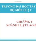 Bài giảng Pháp luật đại cương: Chương 5 - Nguyễn Minh Nhật