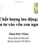 Chất lượng lao động: Đầu tư vào vốn con người