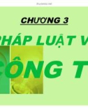 Bài giảng Luật kinh tế: Chương 3 - Ths. Nguyễn Ngọc Duy Mỹ