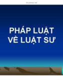 Bài giảng Pháp luật về luật sư