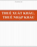 Bài giảng Chương 9: Thuế xuất khẩu - Thuế nhập khẩu