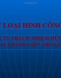 Bài giảng hay về luật kinh doanh - Trường ĐH Công Nghiệp Tp.HCM - Chương 2 Pháp luật về công ty TNHH