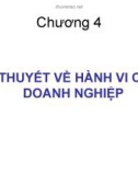 Bài giảng Kinh tế học vi mô: Chương 4 - GV. Mai Văn Hùng