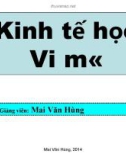 Bài giảng Kinh tế học vi mô: Chương 1 - GV. Mai Văn Hùng