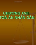 CHƯƠNG XVII: TÒA ÁN NHÂN DÂN