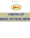 Bài giảng Luật Tố tụng Hình sự: Bài 3 - ThS. Võ Thị Kim Oanh