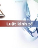 Bài giảng Luật Kinh tế: Chương 1 (tt)