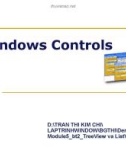 Bài giảng Lập trình Windows - Windows Controls