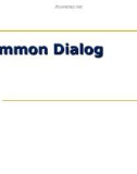 Bài giảng Lập trình Windows - Common Dialog