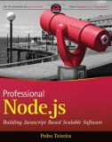 PROFESSIONAL NODE.JS®