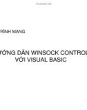 Bài giảng Lập trình mạng: Hướng dẫn lập trình mạng với Visual Basic