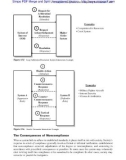 System Analysis, Design, and Development Concepts, Principles, and Practices phần 3