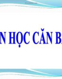 BÀI GIẢNG TIN HỌC CĂN BẢN